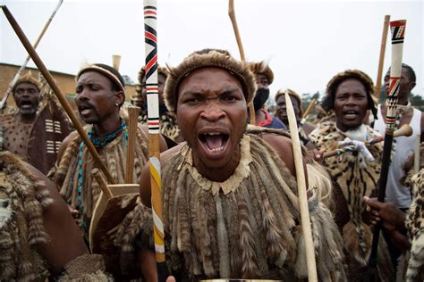 Zulu Nation Planting King Goodwill Zwelithini In South Africa Daily