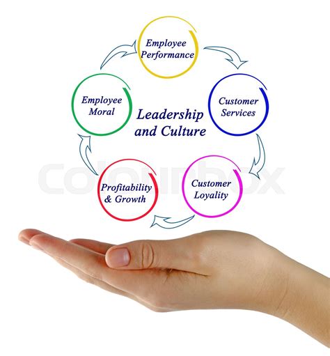 Leadership And Culture Stock Image Colourbox