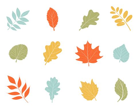 Vector Autumn Leaves Graphics Creative Market