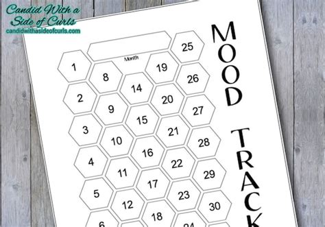 Hexagon Monthly Mood Tracker Bullet Journal Printable Pages Etsy