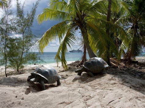 Aldabra Atoll