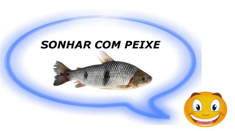 Sonhar Peixe Significado YouTube