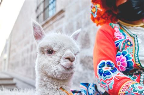 Premium Photo Peruvian Woman In Traditional Clothes Holding A Baby