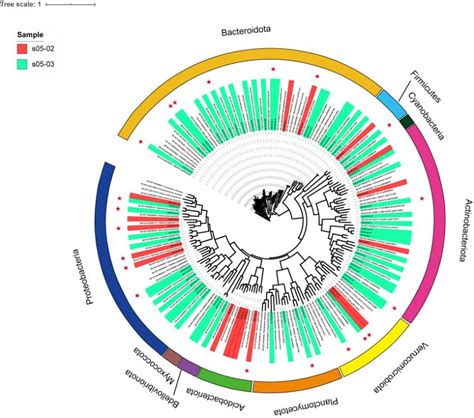 Phylogenetic Tree Of 75 Reconstructed Metagenome Assembled Genomes