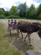 D Couverte De La Ferme De Pont Melvez Ecole Anne Leroy B Gard