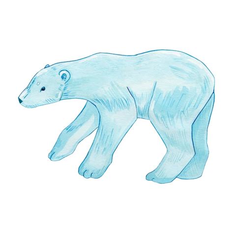 Premium Photo Polar Bear Watercolor Illustration Illustration For