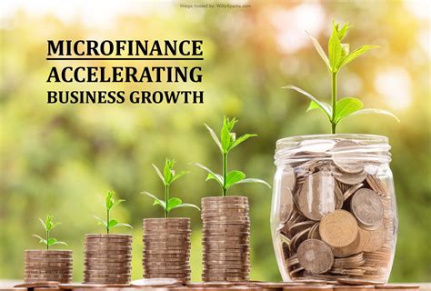 How To Grow Your Business Using Microfinance