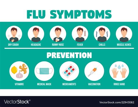 Viral Flu Infographic Flat Style Royalty Free Vector Image