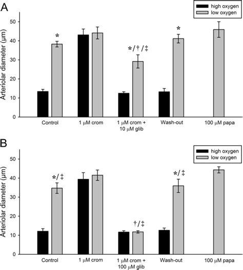 Effects of consecutive application of 1 μM cromakalim and increasing