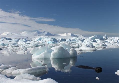 Antarctica Glaciers Possibly Melting Faster Than Once Believed - Guardian Liberty Voice