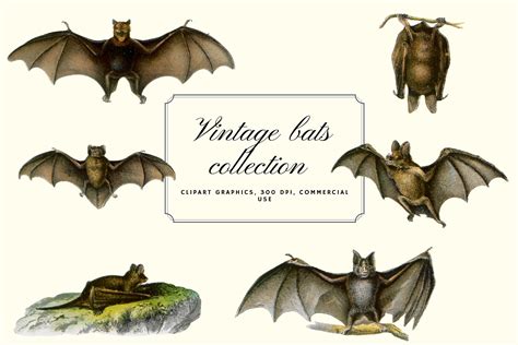 vintage bats - Clip Art Library