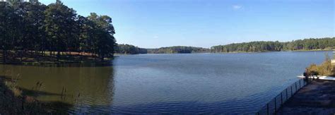 Tombigbee National Forest