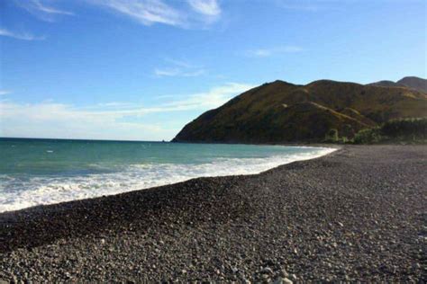 Peketa Beach Holiday Park | Travella.co.nz