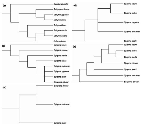 Topologies Of The Phylogenetic Trees Used To Construct The Composite