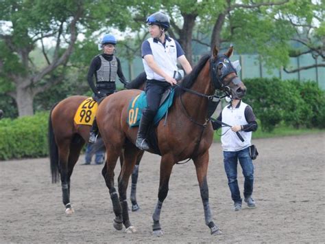 母は牝馬重賞路線で活躍のタッチングスピーチ 良血馬ヴィジョンメーカーが福島で初陣関東馬メイクデビュー情報 競馬ニュース Netkeiba