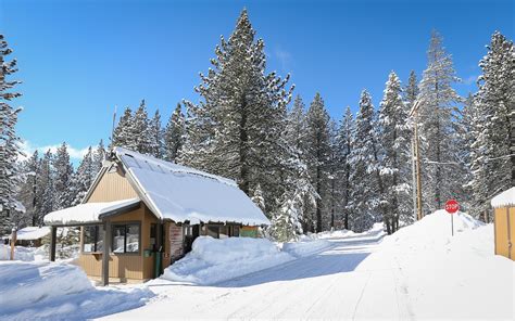 Donner Memorial State Park Cross-Country Ski | Outdoor Project