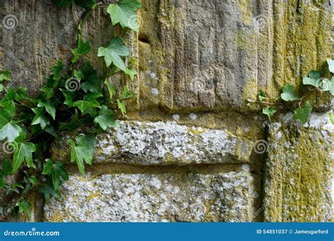 Pared De Piedra Vieja Con La Hiedra Imagen De Archivo Imagen De