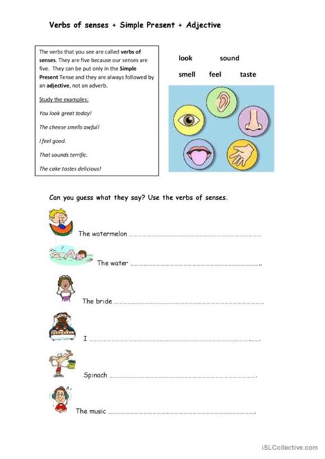 17 Verbs Of Senses English Esl Worksheets Pdf And Doc