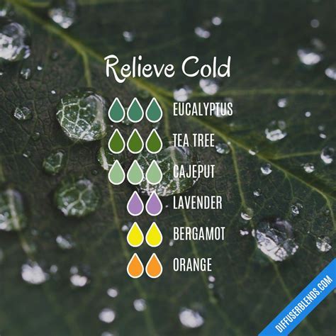 Pin By Deborah Brookes On Magick Oil Essential Oil Diffuser Blends