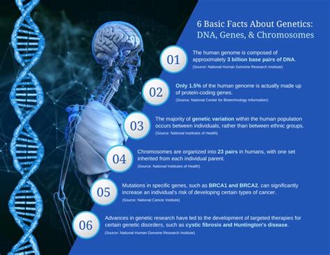 Genetics Facts DNA, Genes, and Chromosomes Infographic Template - Venngage