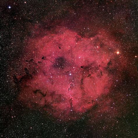 Emission Nebula Ic 1396 Photograph By Robert Gendler Science Photo