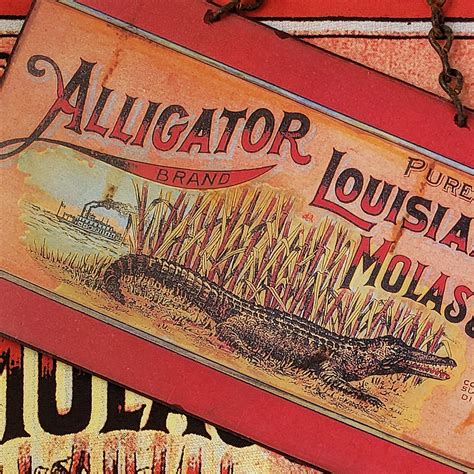 Vintage Metal Signs Cajun Swamp Alligator Home Wall Decor Vintage Can