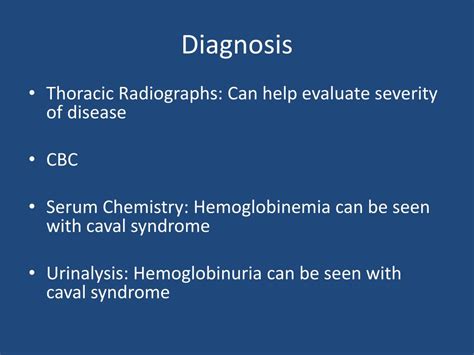 Ppt Heartworm Disease Powerpoint Presentation Free Download Id2066943