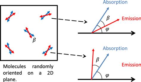 Absorption Dipole Orients At Angle The Angle Between The Absorption