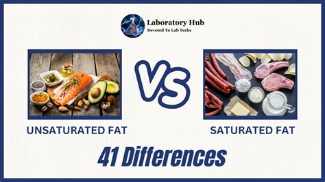 41 Differences Unsaturated And Saturated Fat