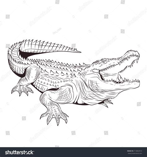 Adult Coloring Page Coloring Pages Alligator Tattoo Crocodile Tattoo