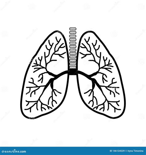 Human Lungs Black Silhouette Sketch Linear Icon Stock Vector