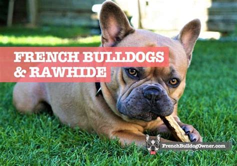 French Bulldogs & Rawhide Bone: Safety, Digestion, Dangers