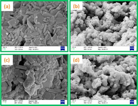 Fe Sem Micrographs Of A Bafe 12 O 19 B Bafe 12 O 19 Pani C Download Scientific