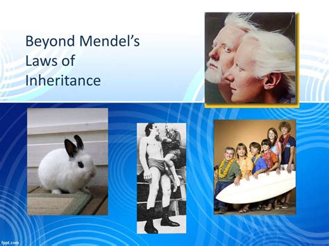 Beyond Mendels Laws Of Inheritance Ppt Download