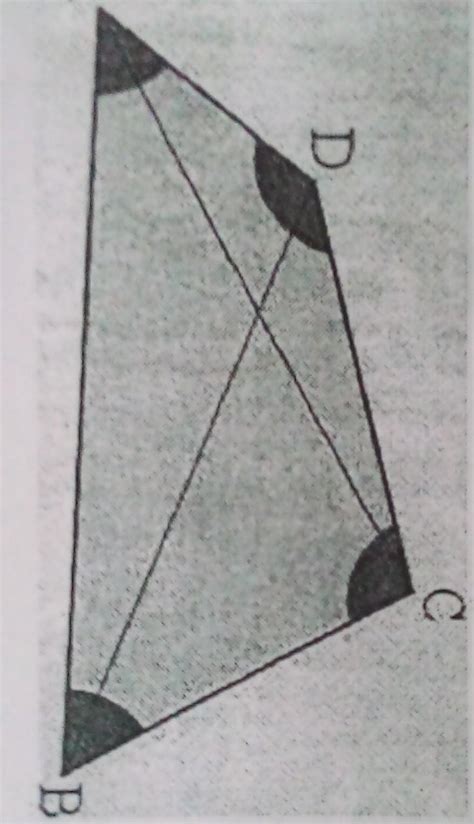Poligono De Quatro Lados - 6