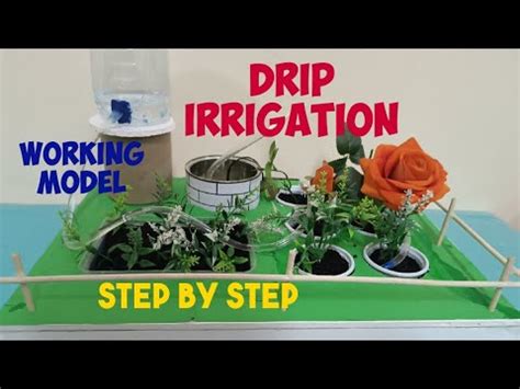 How To Make A Drip Irrigation Working Model At Home Drip Irrigation