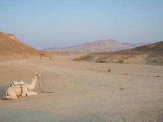 Abenteuer W Ste Wadi Al Gimalhamata Abu Ghusun Marsa Alam El