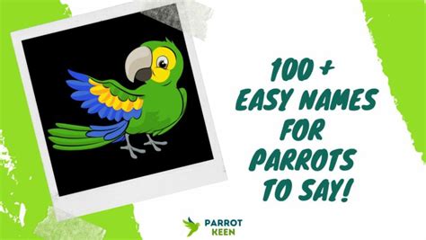 100+ Easy Names for Parrots to Say - Parrotkeen