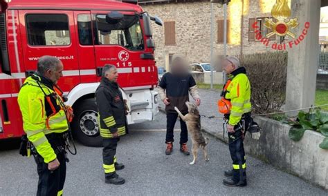 Vilminore Di Scalve Cane Resta Bloccato Sul Pizzo Tornello A Vilminore