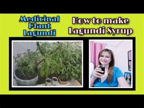 HOW TO MAKE LAGUNDI SYRUP Gamot Sa Ubo Lagnat Sipon Flu Asthma