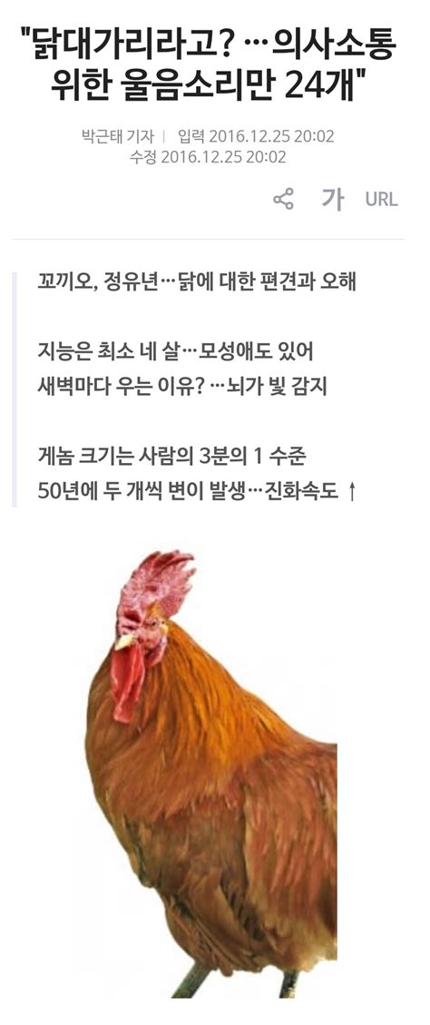 암탉이 울면 집안이 망한다는 속담 찾아봤는데 유머 게시판