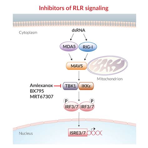 Inflammasome Inhibitors