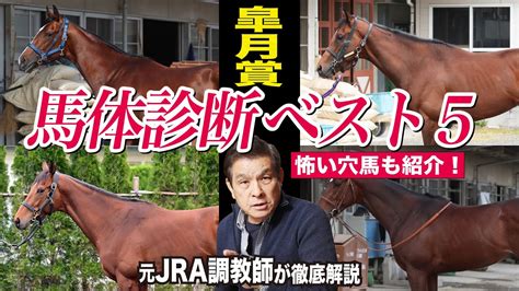 【皐月賞2023】中村均元調教師が馬体診断 馬体ランキング上位5頭＆道悪で要注意の穴馬を1頭紹介《東スポ競馬ニュース》 Youtube