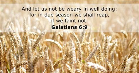 12 Bible Verses About The Harvest Kjv