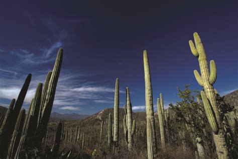 Pueblos Mágicos Y Lugares De México Para Recorrer En Bicicleta