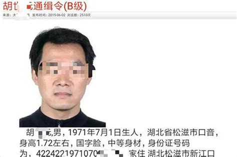 两次被列为网上逃犯 公安部b级逃犯在湖北仙桃落网新浪湖北新浪网