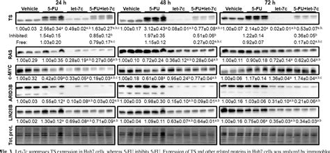 Figure 1 From Pharmacokinetic And Pharmacodynamic Factors Contribute To