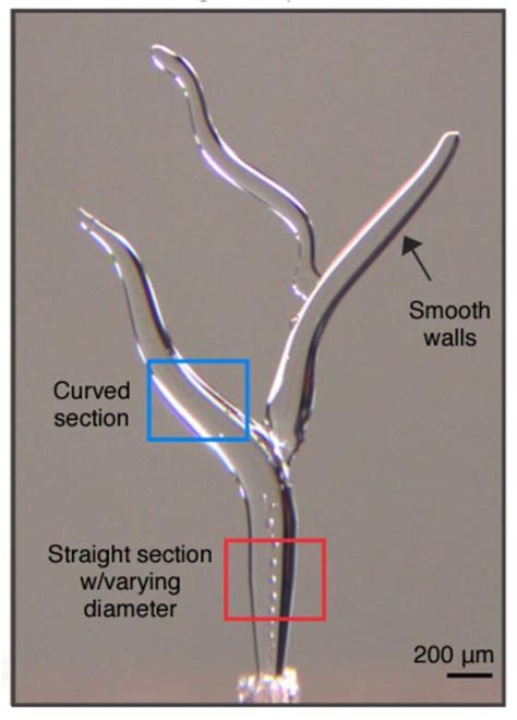 Researchers D Print Micro Scale Structures With Ice D Printing