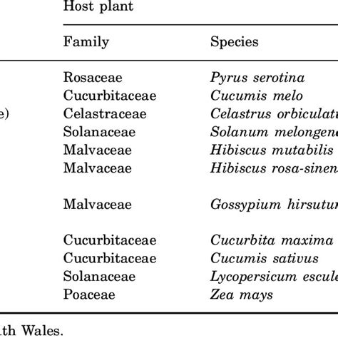 Landing patterns of Aphis gossypii alates that originated from two ...