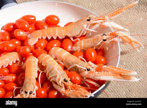 Mediterranean Shellfish For Special Preparation Stock Photo Alamy